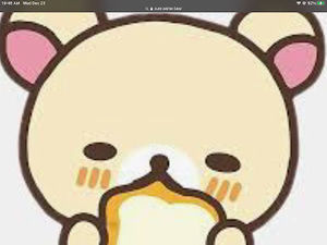 Meet your Posher, Dana